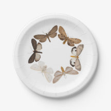 Un plat de mite