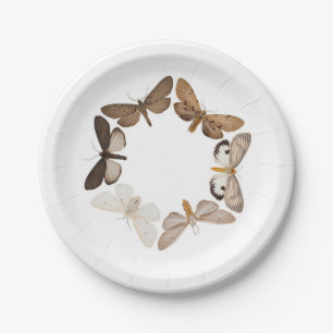 Assiettes En Carton Un plat de mite