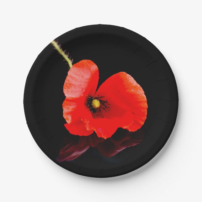 Assiettes En Carton Un seul pavot rouge en noir (Devant)