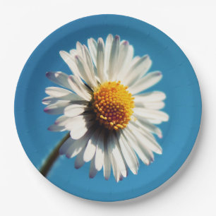 Assiettes En Carton Une pâtisserie blanche sous un ciel bleu