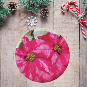 Assiettes En Carton Vacances Poinsettias Variées Roses