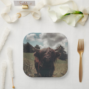 Assiettes En Carton Vache écossaise de la région montagneuse noire pât