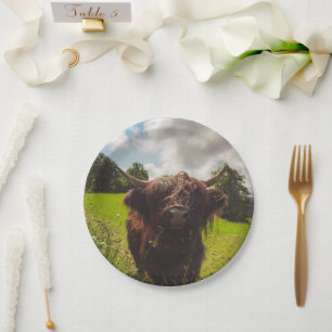 Assiettes En Carton Vache noire pâturage vert champ soleil