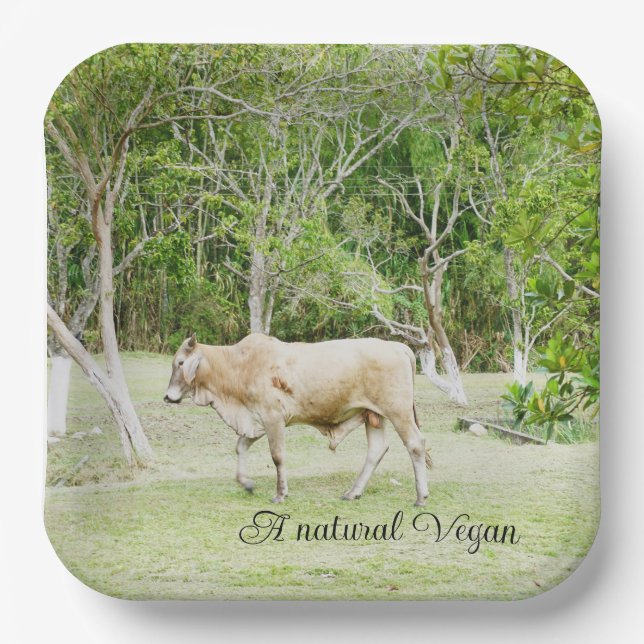Assiettes En Carton Vache végétale naturelle (Recto)