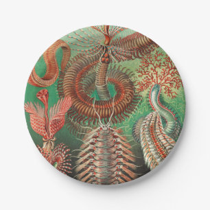 Assiettes En Carton Vers, Annelids Chaetopoda par Ernst Haeckel