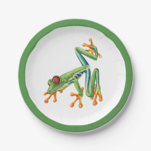 Assiettes En Carton Vert clair