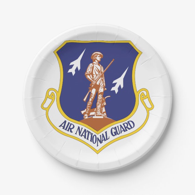 Assiettes En Carton Vétéran militaire de l'armée de l'air (Devant)
