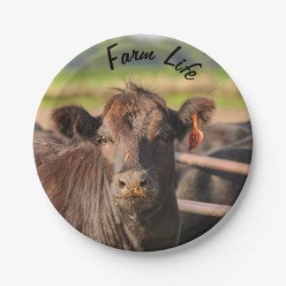 Assiettes En Carton Vie de la ferme à la vache