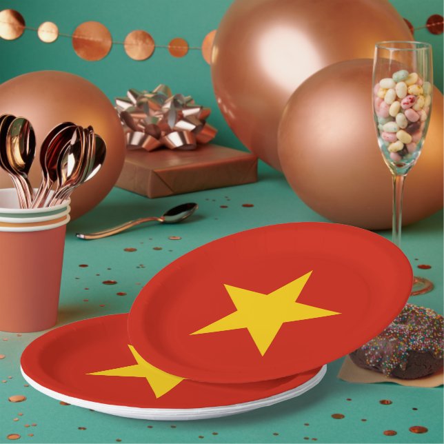 Assiettes En Carton Viêtnam (Multi)