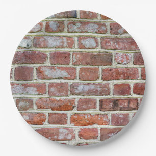 Assiettes En Carton Vieux mur de briques