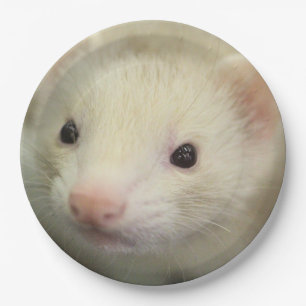Assiettes En Carton Visage de furet