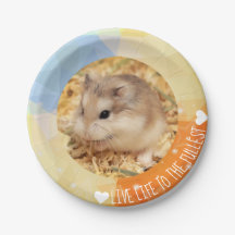 Vivre au maximum - Hammyville Hamsters