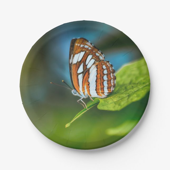 Assiettes En Carton White and Orange Striped Butterfly (Devant)