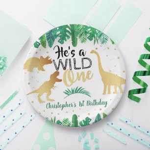 Assiettes En Carton Wild One Dinosaur Boys 1er Anniversaire Plaque Pap