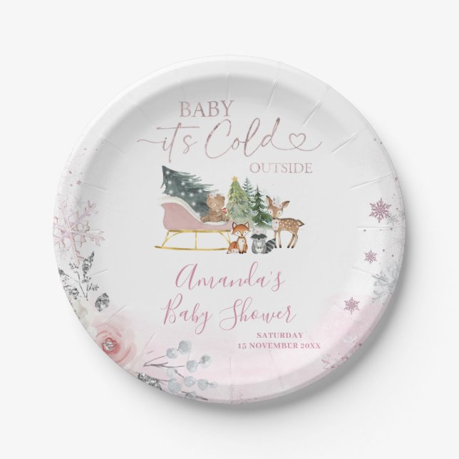 Assiettes En Carton Winter Pastel Pink Snowflake Sleigh Baby Shower (Devant)