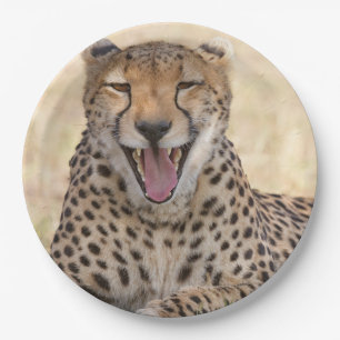 Assiettes En Carton Yawning Cheetah
