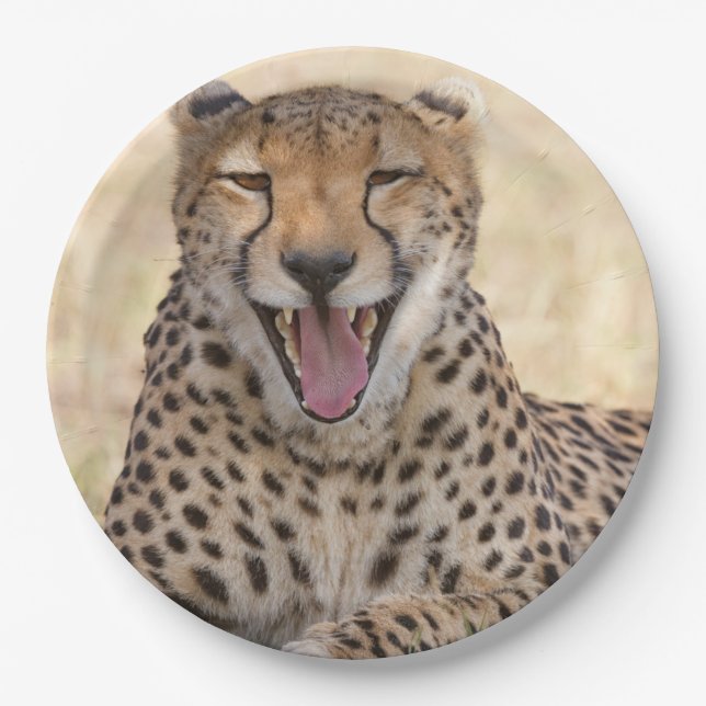 Assiettes En Carton Yawning Cheetah (Devant)
