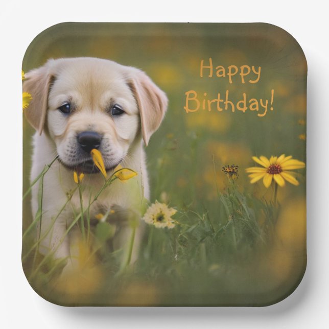 Assiettes En Carton Yellow Labrador Retriever (Recto)