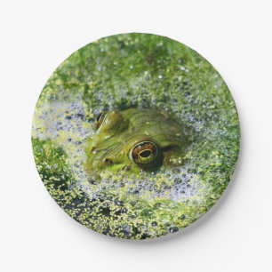 Assiettes En Carton Yeux de grenouille dans un étang