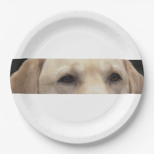 Assiettes En Carton yeux de laboratoire jaunes