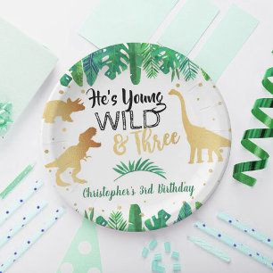 Assiettes En Carton Young Wild & Three Dinosaur Boys Troisième anniver