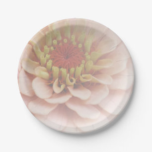 Assiettes En Carton Zinnia Papier Plaques Pale Peach