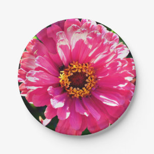 Assiettes En Carton Zinnia rose