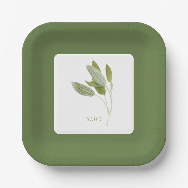 ASSIETTES EN PAPIER 7" Carré SAUGE FRAÎCHE - Vert (Recto)