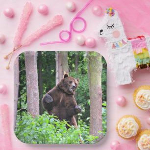 Assiettes en papier avec un grizzli debout