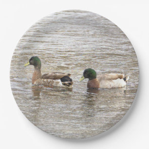 Assiettes en papier photo canards colverts