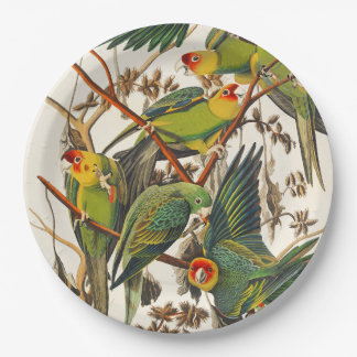 Assiettes en papier uniques oiseaux tropicaux