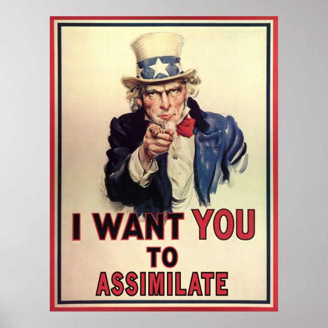 Assimilation Poster (Vorne)
