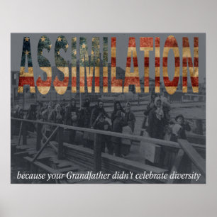 Assimilierung Poster