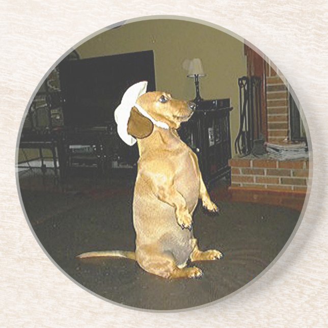 Assis Joli Dessous de verre Dachshund (Devant)