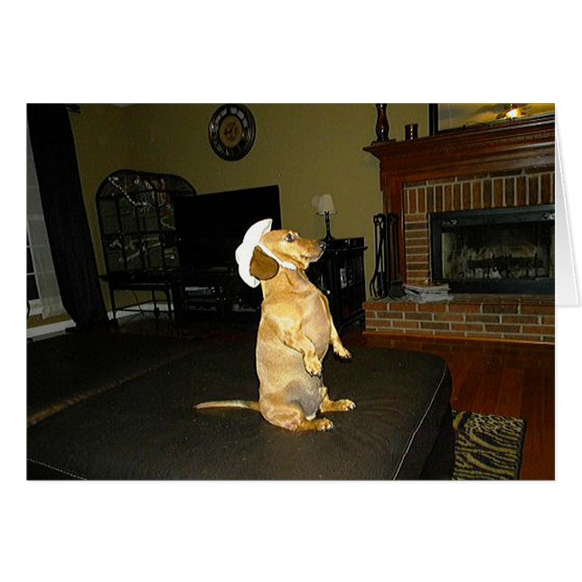 Assis jolie ou regarder la TV Dachshund (Devant horizontal)