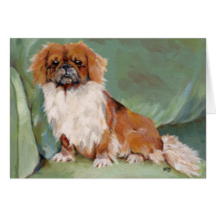 Assis Pekingese