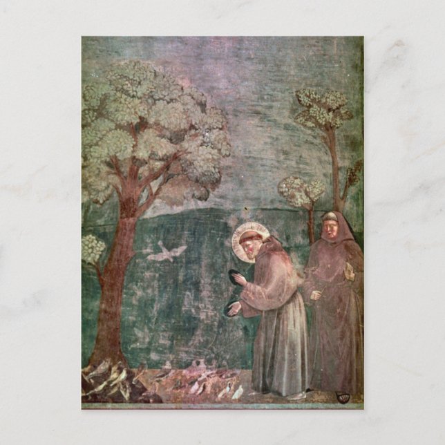 Assisi, St. Francis und Vögel Postkarte (Vorderseite)