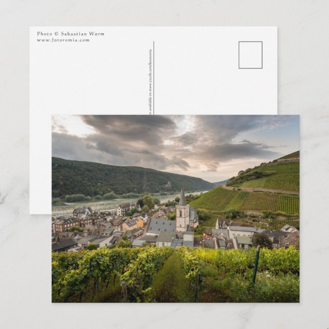 Assmannshausen Postkarte (Vorne/Hinten)