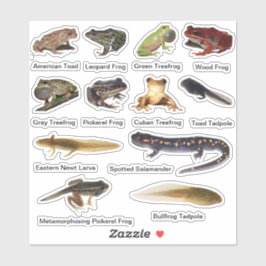 Assorted Amphibien Vinyl Stickers Aufkleber