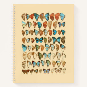Assorted Butterfly Hardcover Spiral Sketchbook Notizbuch