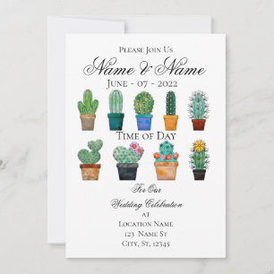 Assorted Cactus Pflanze Thunder_Cove Einladung