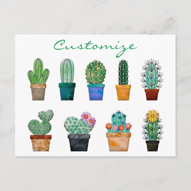 Assorted Cactus Pflanze Thunder_Cove Postkarte (Vorderseite)