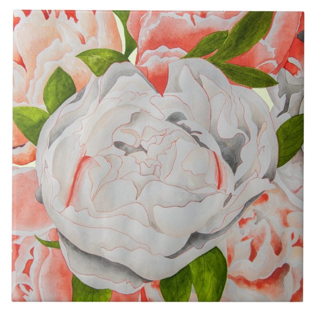 Assorted Peonies on a Ceramic Tile (E) Fliese (Vorderseite)