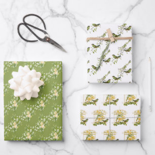 Assortiment de papier d'enveloppement d'oiseaux et