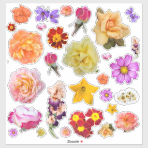 Assortiment de photos Fleurs colorées Autocollant