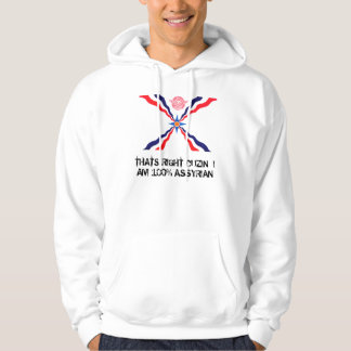 assyr, DAS IST RECHTES CUZIN, das ICH 100% Hoodie