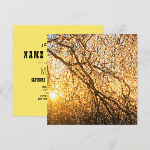 Äste bei Sonnenuntergang Einladung