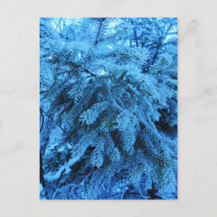 Äste mit Frostkristallen bedeckt Postkarte