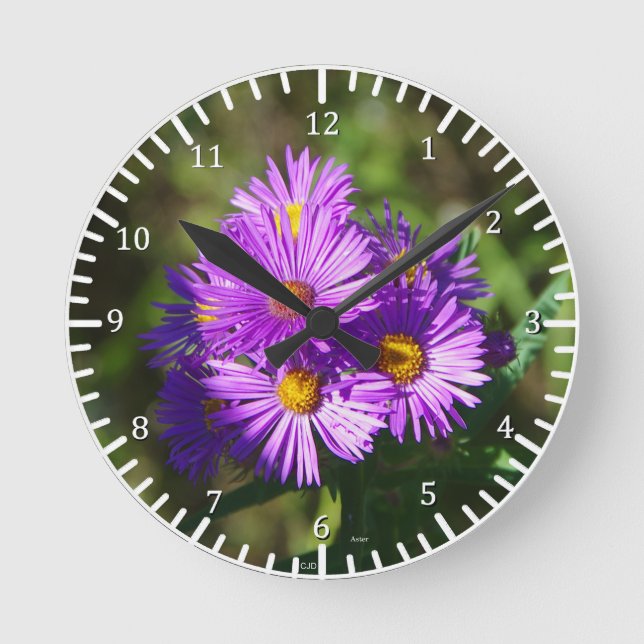 Aster Clock Runde Wanduhr (Vorderseite)
