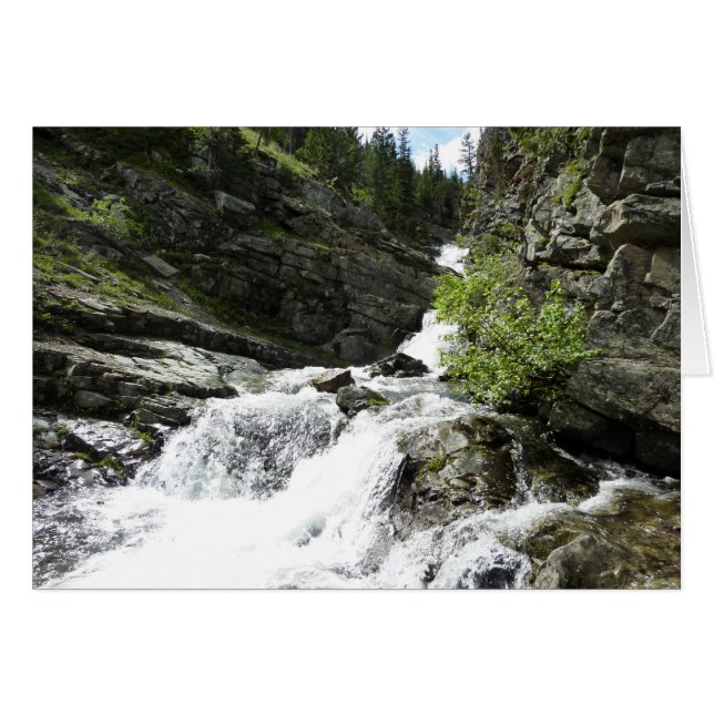 Aster Creek im Glacier National Park (Vorderseite (Horizontal))